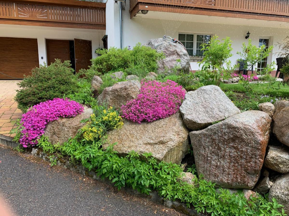 Haus Sonneck Hotel